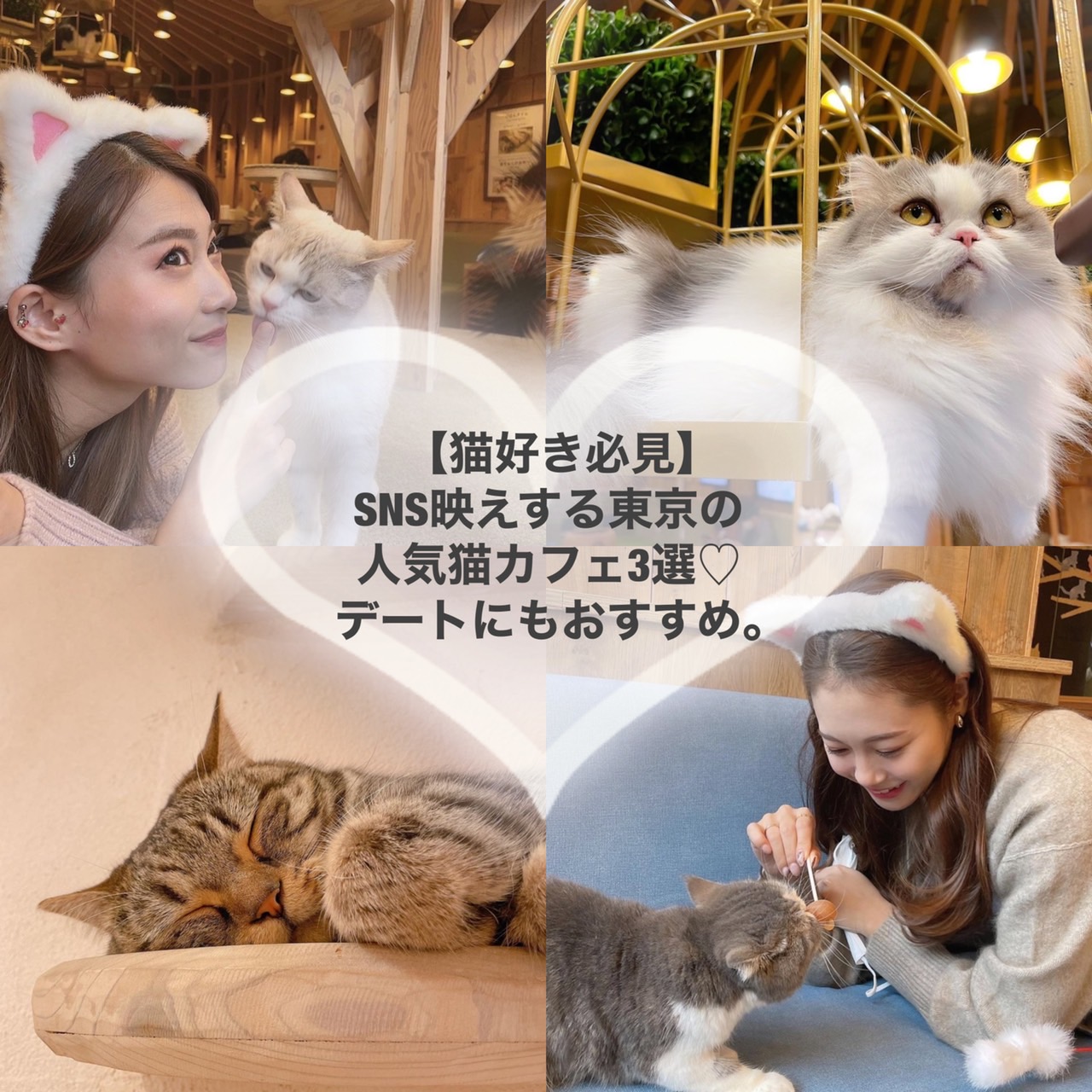 猫好き必見 Sns映えする東京の人気猫カフェ3選 デートにもおすすめ トレンドお届けメディア Trepo トレポ