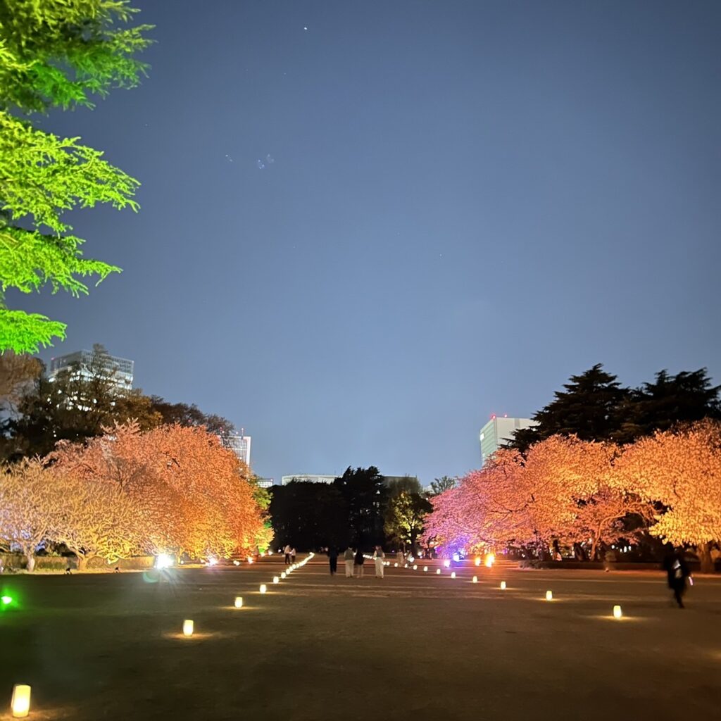NAKED桜の新宿御苑2023　夜桜ウォークエリア（新宿門前〜三角花壇）