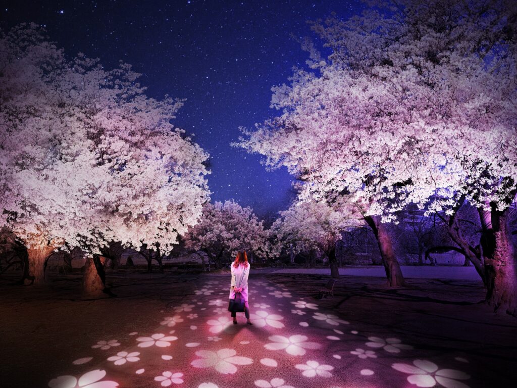 NAKED桜の新宿御苑2023　 アートお花見エリア（風景式庭園）
桜の小径
