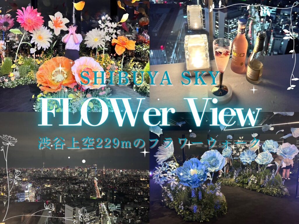 b04ff5558b9f943f962591b0259107