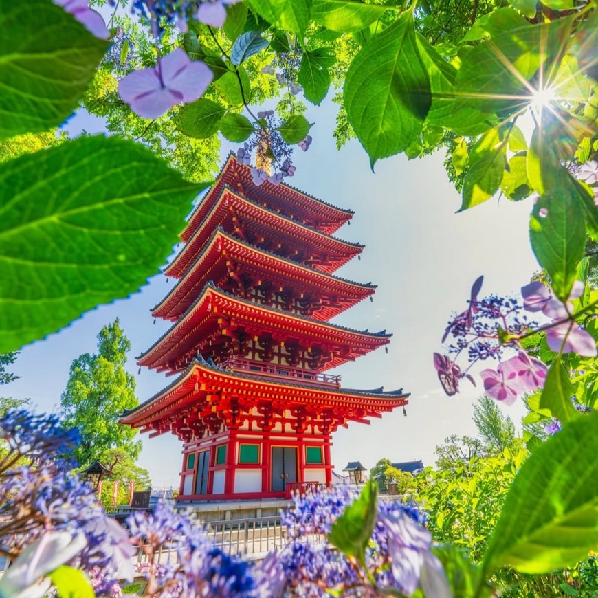 高幡不動尊金剛寺