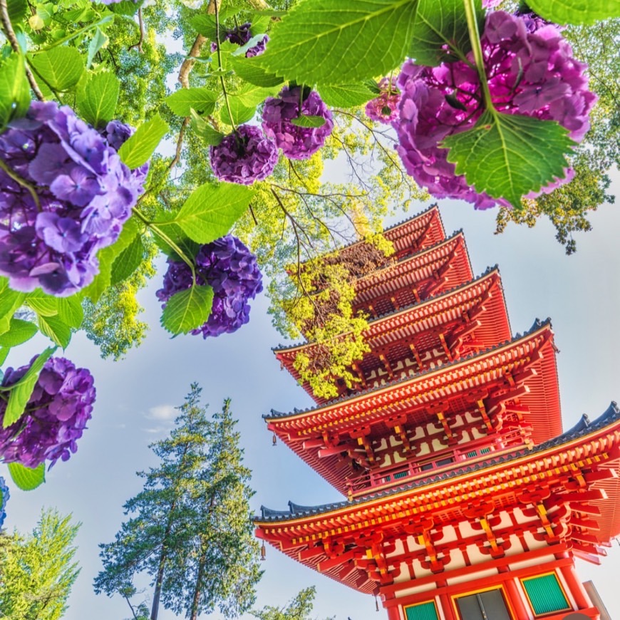 高幡不動尊金剛寺