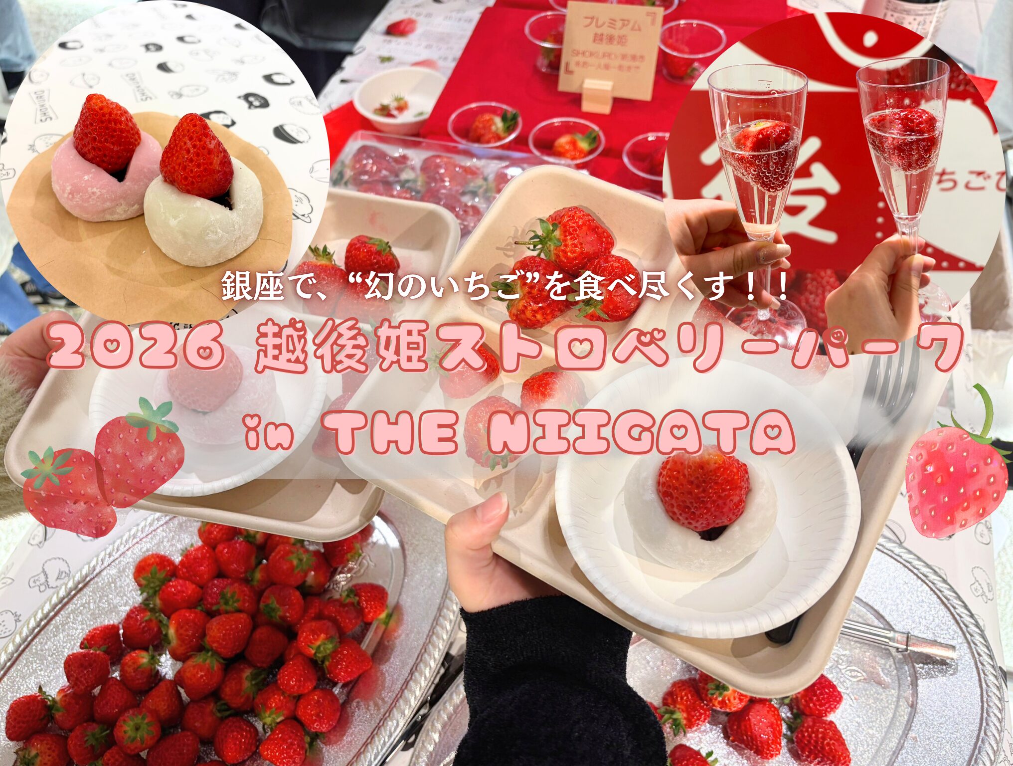 最終値下げ　ピンクハウス　レア　籠盛りいちご　前後 切替 ベスト f7dfb16d0be60dc62c05c6d9993e9c