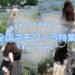 trepo人気記事