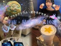 trepo人気記事