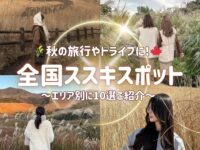 trepo人気記事