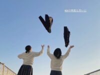 trepo人気記事