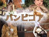 【2026年最新トレンド】バンビコアが可愛すぎる♡韓国で話題のガーリーな次世代スタイルを徹底解説!